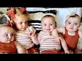Sibling Fight. Triplets and Toddler Battle on a Bed