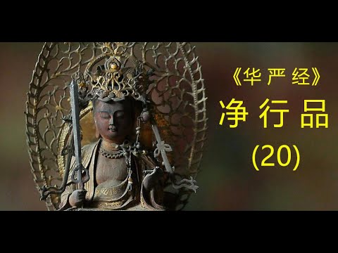 华严经净行品 (20). 寻法记 2025 02 12 - YouTube