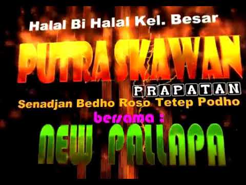 new pallapa    putra sekawan