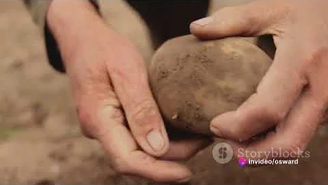 How to defeat Irish Potato Diseases: A  Farmer's Guide