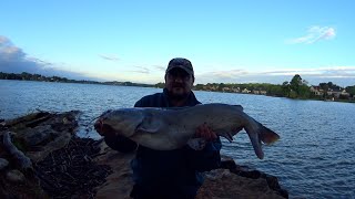 Mustag demon hook review #catfish #fishing