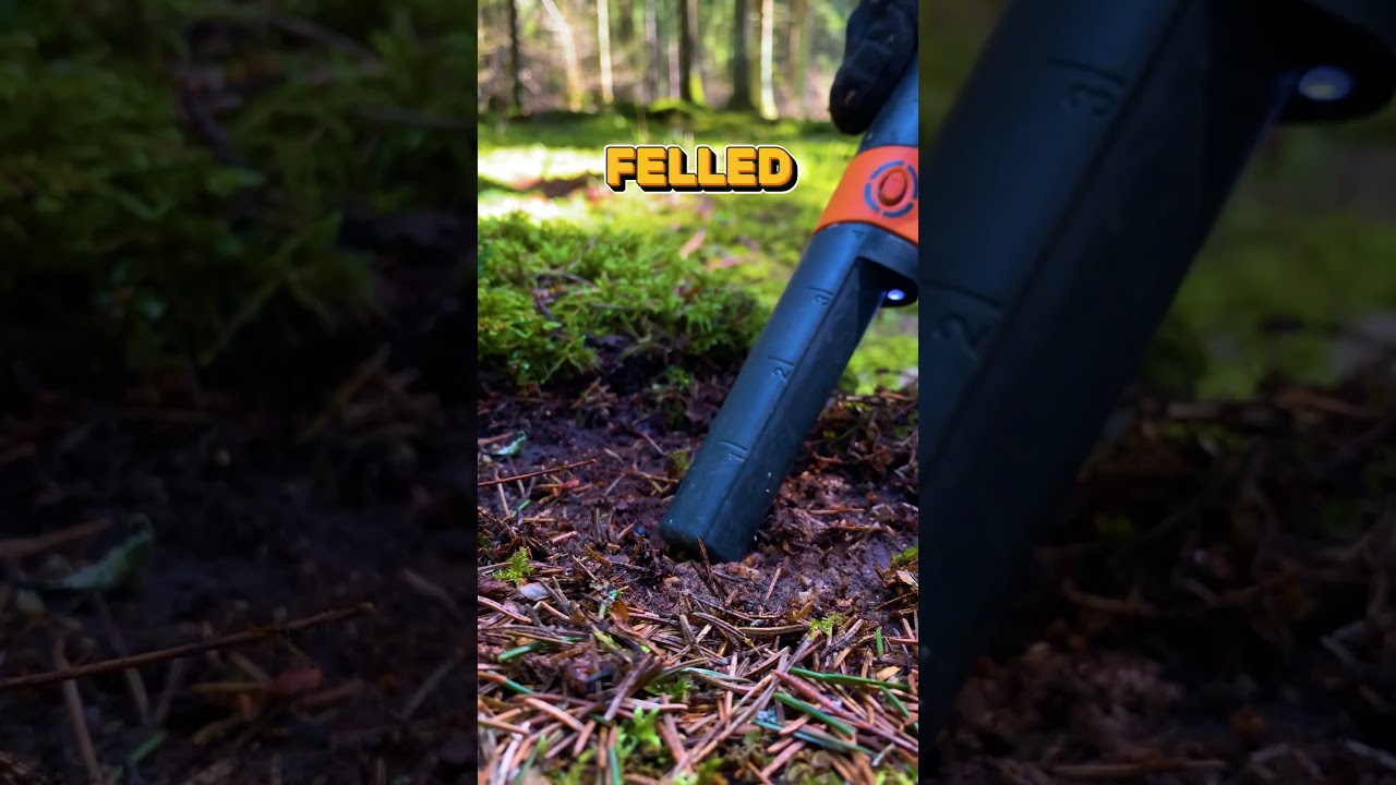 Ring with Emerald Found in Woods with Metal Detector