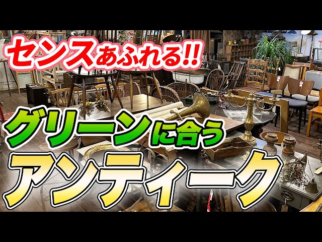Antique] Just like an English garden!? We will introduce gardening