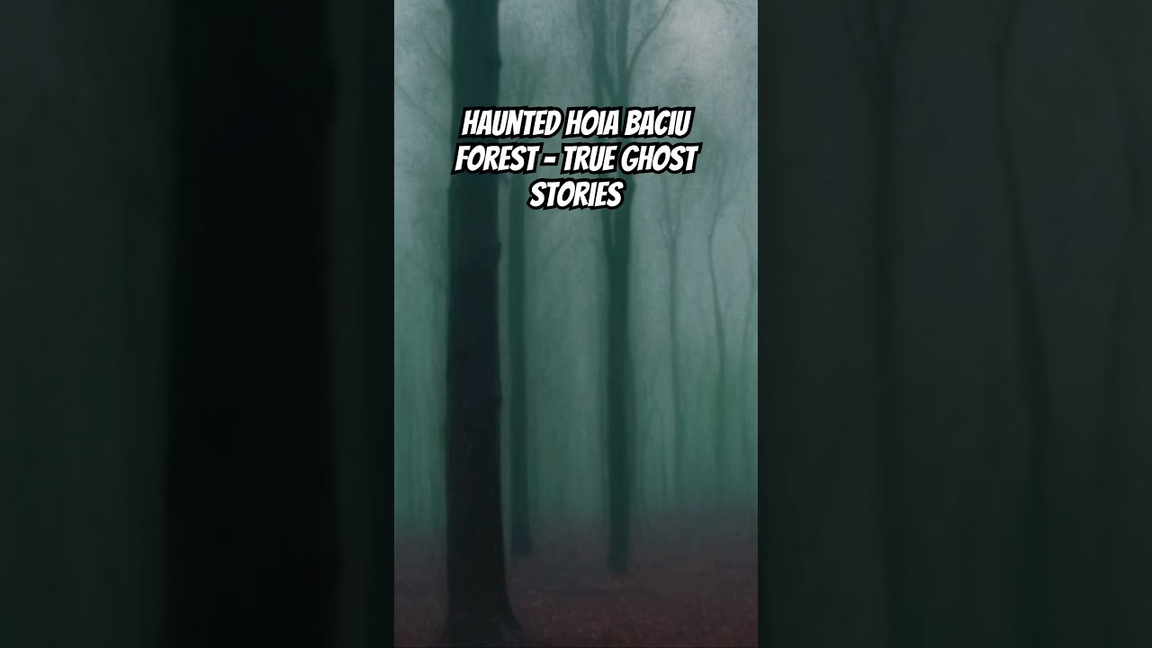 Haunted Hoia Baciu Forest - True Ghost Stories 