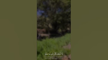 {سُبْحَانَ اللَّهِ عَمَّا يَصِفُونَ} تلاوه القارى بدر التركي ارح سمعك وقلبك 🤍 #لا_اله_الا_الله