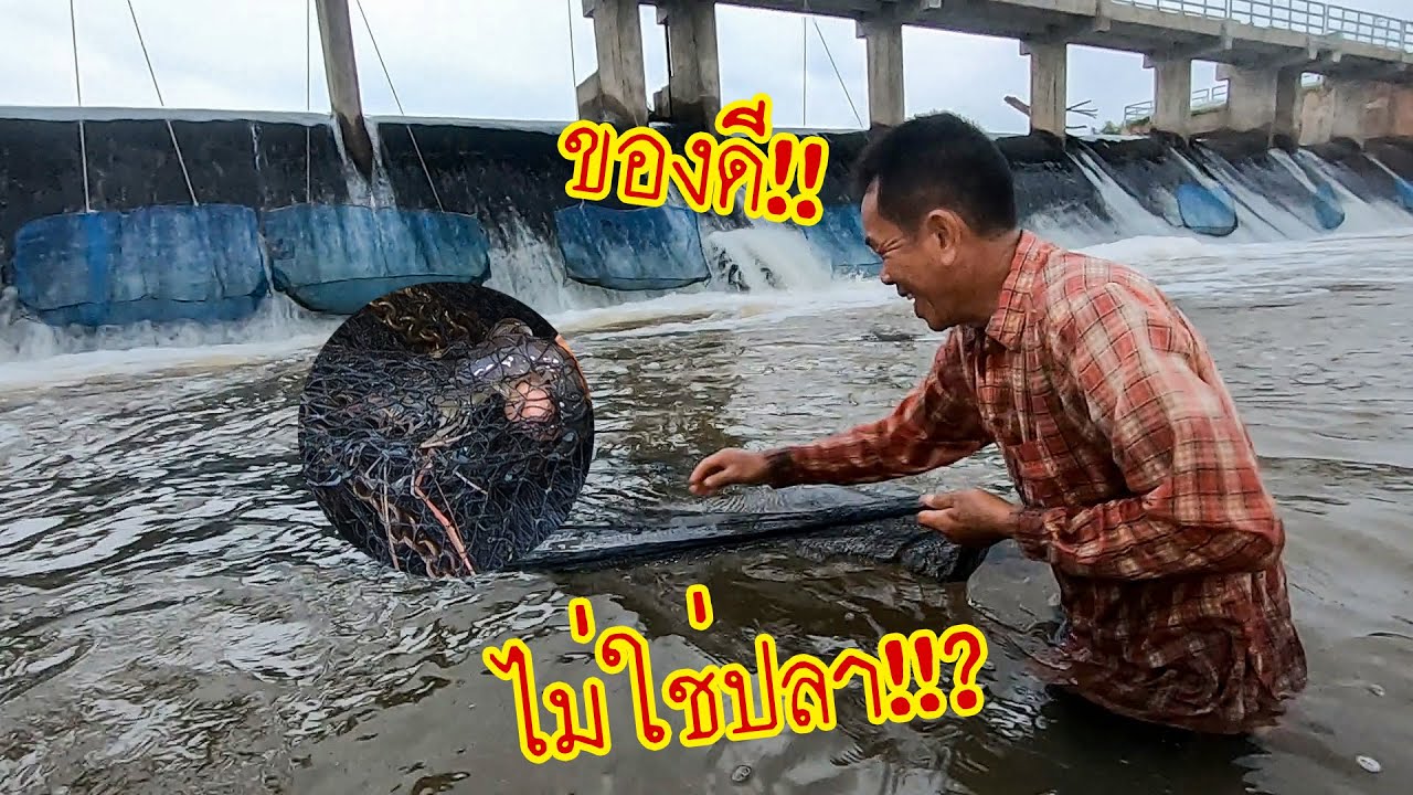 พึ่งเคยเจอครั้งแรก!! ไม่คิดว่าจะได้!! หว่านแหฝายน้ำล้นกับลูกเขย น้ำไหลแรงมาก
