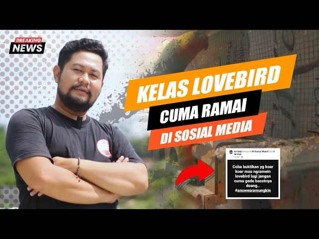 CUMA RAMAI DI SOSMED ⁉️ KELAS LOVEBIRD 2024 class=