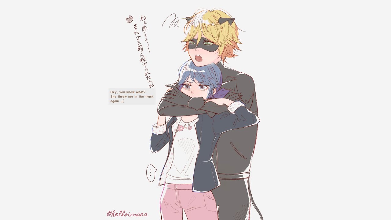 Stay in the Trash, Kitty (MariChat Shenanagins, post-Hawkmoth) A Miraculous Ladybug Fanfiction