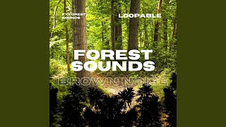 Loopable, River Rainfall - Brown Noise