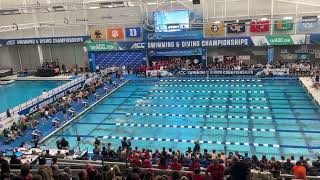 M 200 BR C FINAL- WORTH