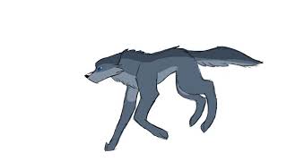 Wolf running animation