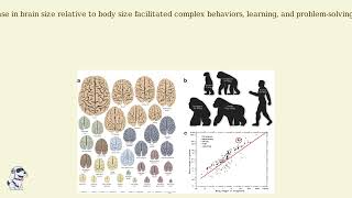 Primate Evolution
