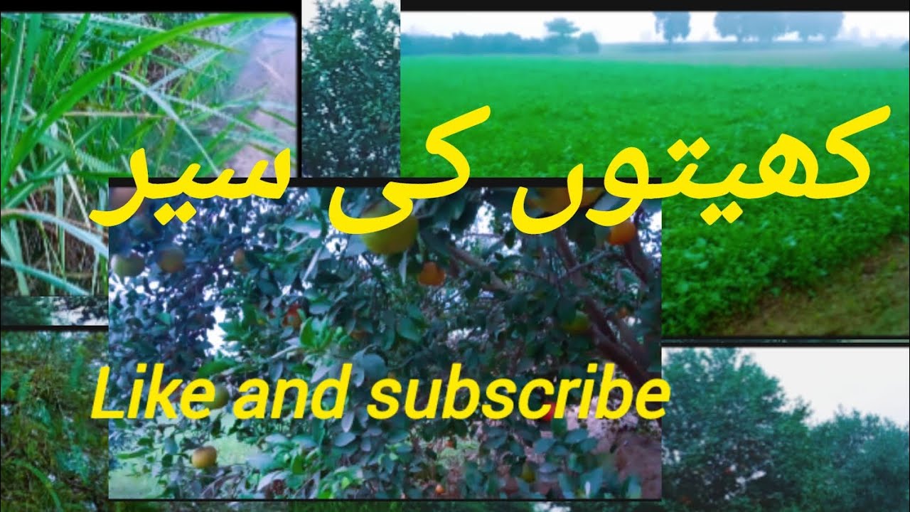 Allhamdulila 🥰 my first Vlog 🤗