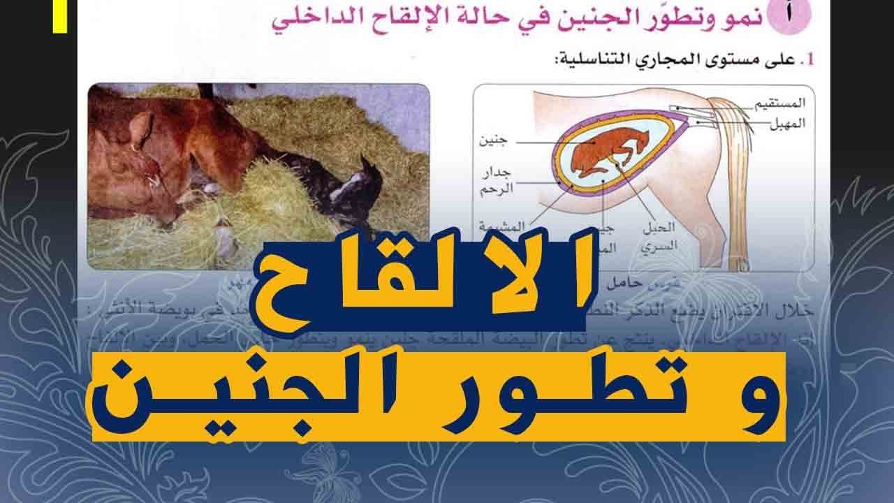 الدرس 25:علوم طبيعية السنة الثانية متوسط انماط الالقاح و تطور الجنين عند الحيوانات