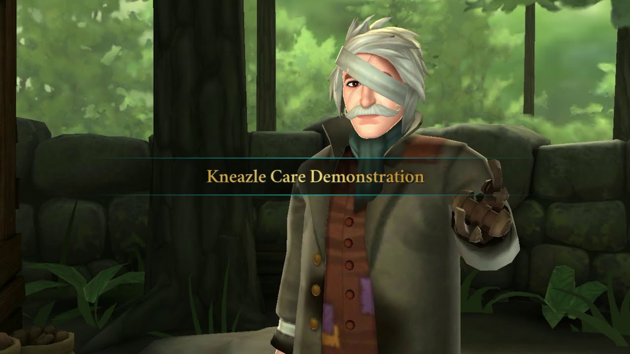 Hogwarts Mystery - Care of Magical Creatures - Kneazle