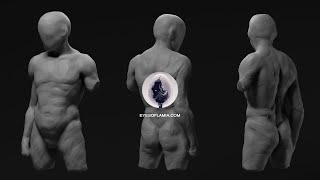Eyes of Lamia - Male Torso Anatomy study.