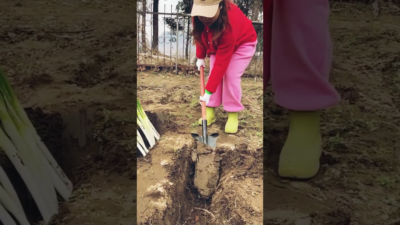 Learn agricultural techniques on  Three Rural Cultivation Plan