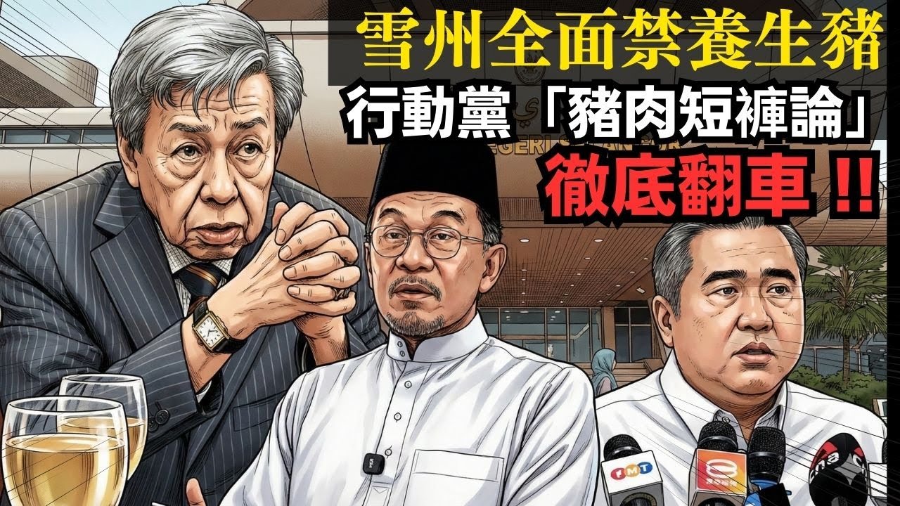 雪州全面禁養生豬，行動黨「豬肉短褲論」徹底翻車。 10-02-2026 | 李偉康