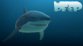 AWOL | The Deep | π Season 4 Episode 5 π | HD Full Episode