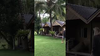 Download Lagu House of Sawah/Tempat bule/Serasa di Canggu Bali di pantai batu karas Pangandaran MP3