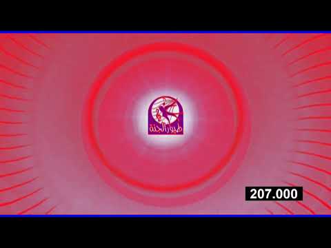 فاصل طيور الجنة عالمنا ToyorZaman In Red Sponge Effect 