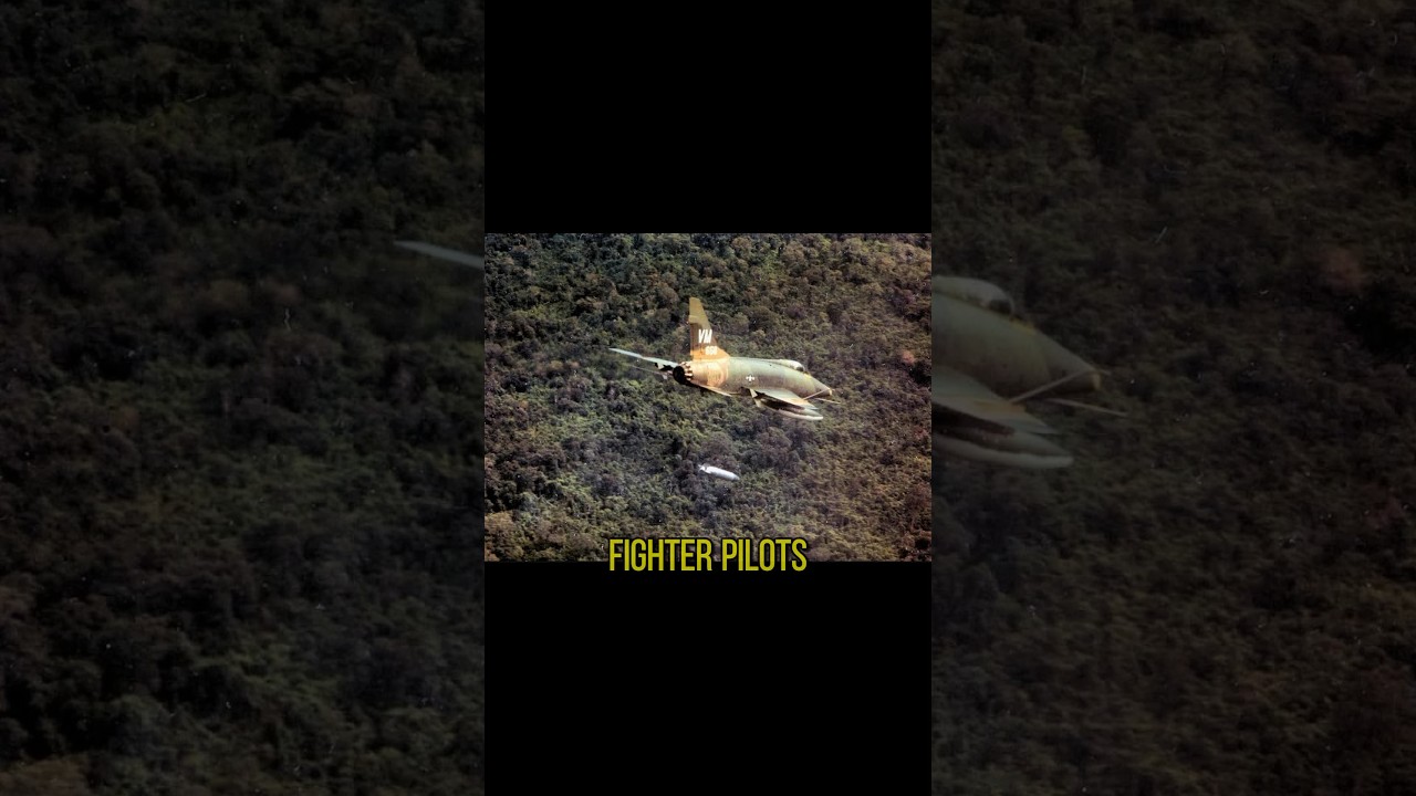 Are Fighter Pilots Less Brave Than Infantry? 