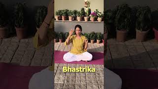 Bhastrika Asana 🔥 One Breath That Reboots Your Body! #yogaskills #energyhealing
