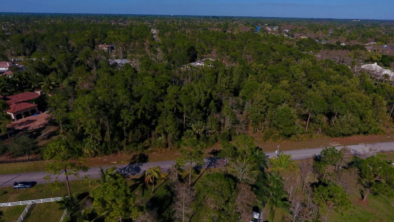 1442 Pelham Road Wellington FL 33414Paddock Park of Wellington YouTube