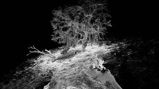 Cliefden Caves 3D Fly-through