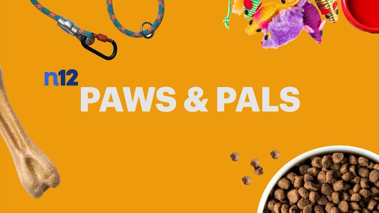 Paws & Pals Featuring Posh Pets Rescue