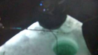 Lake Simcoe Whitefish 2011 part 2