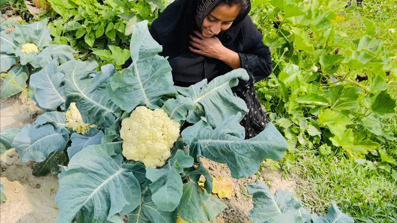আল্লাহ রিজিকে রাখলে কেউ কেড়ে নিতে পারবে না😭