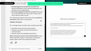 Write an essay with Turnitin Clarity and a leading LLM - Asking for help to get started on an essay