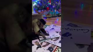 Don’t Miss out 2024 Calendars #lifewithgaitlyn #festive  #calendar #trending