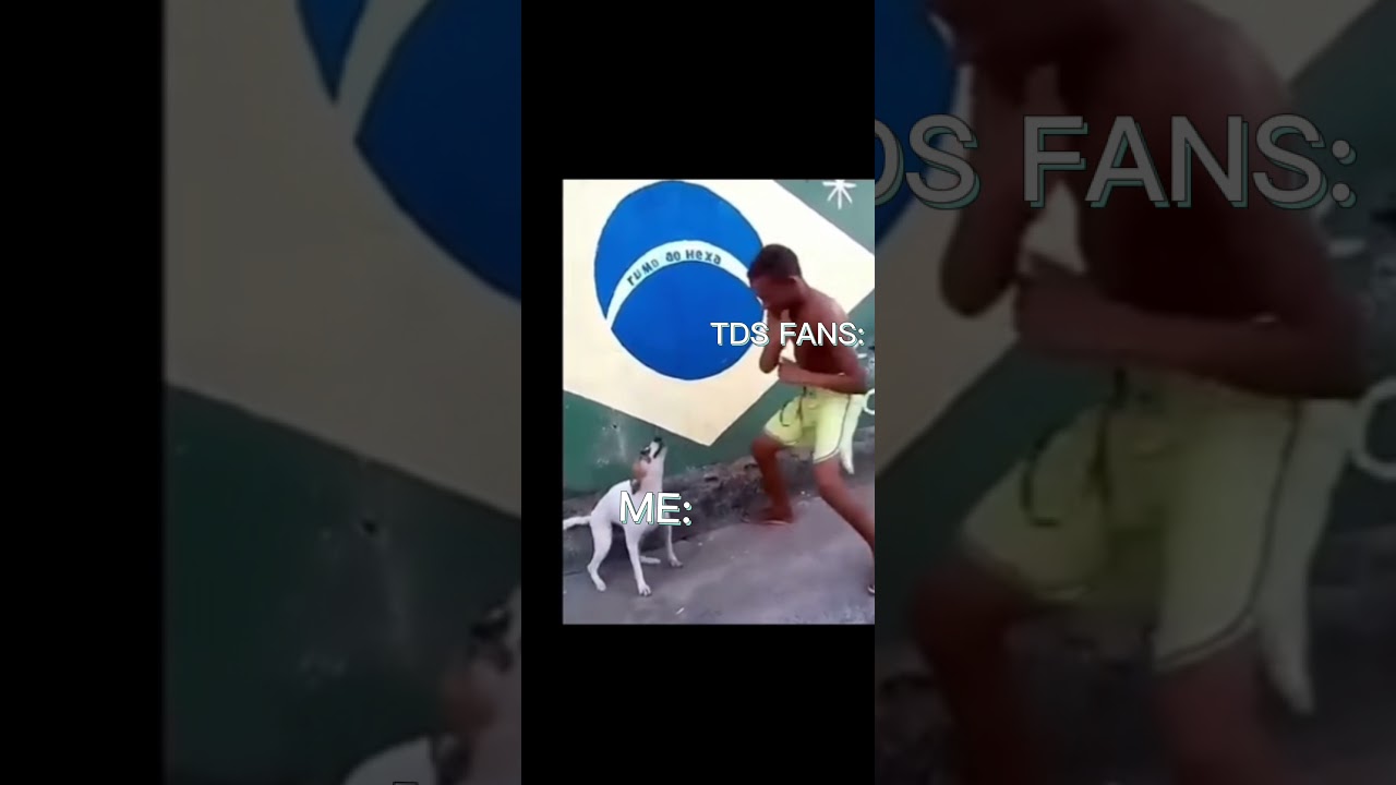 when tds finally update