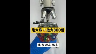 实测把泡大珠放大800倍，会是什么样呢…