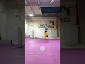 Handstand training 9variations