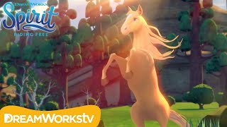 The Mysterious New Horse...or Unicorn? | SPIRIT RIDING FREE | Netflix