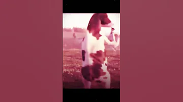 يعني زهور زهوره روره روره زهرة 