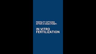 Fertility Options After a Vasectomy: In Vitro Fertilization