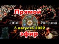 Ситуация по Украине 3 августа 2022