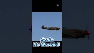 Do you like this Scale model rc Warbird? #rcmodel #rchobby #scalemodel #rcplane #militarymodel