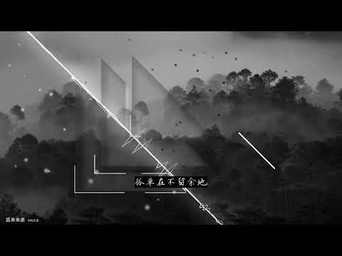 2020華語網絡流行音樂 ||《孤單來襲》|| 半噸兄弟 || 動態歌詞