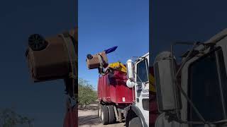 Right Away Disposal CP python 389! 10/13/23