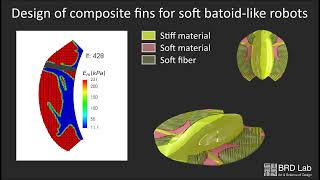 Soft Robot With Optimized Swimming Properties screenshot 5