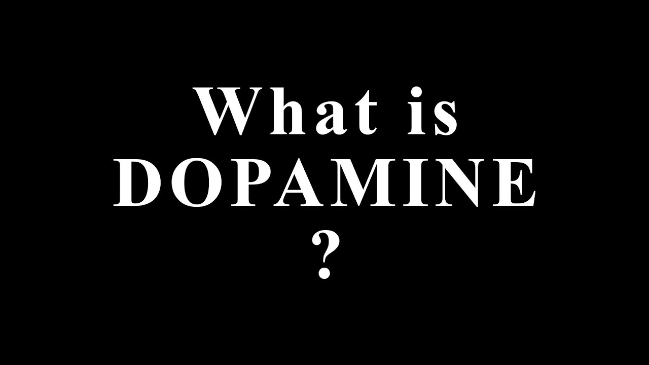What Is Dopamine? | Dopamine Explained, Motivation, Reward & Brain Chemistry