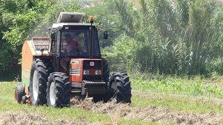 PRESSATURA FIENO | 1° TAGLIO | FIATAGRI 100-90 DT + ROTOPRESSA GALLIGNANI 9150 | TEAM D'IGNAZIO