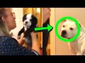 WATCH PEOPLE DIE INSIDE 84 Compilation 2020 RVFR WATCH PEOPLE DIE INSIDE 84 Compilation 2020 RVFR