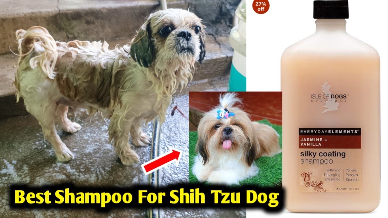 Shih Tzu dog grooming and bath at home | Best Shampoo for Shih Tzu | Shih Tzu Dog | Pet care kannada