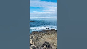 Thumbnail of 17 mile drive in Carmel! 🙏🏽🤙🏽#carmel #17miledrive #pebblebeach